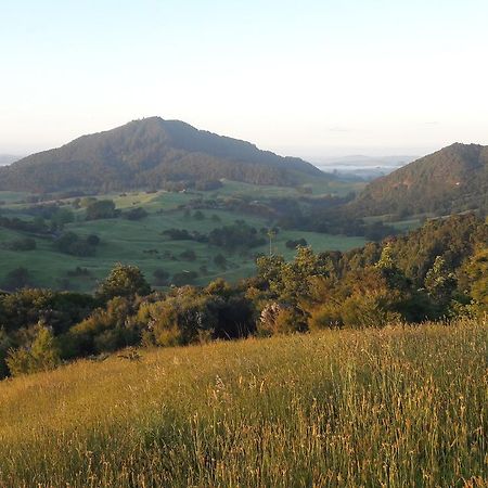 Kaiwaka Valley Vista Eco Retreat 빌라 외부 사진